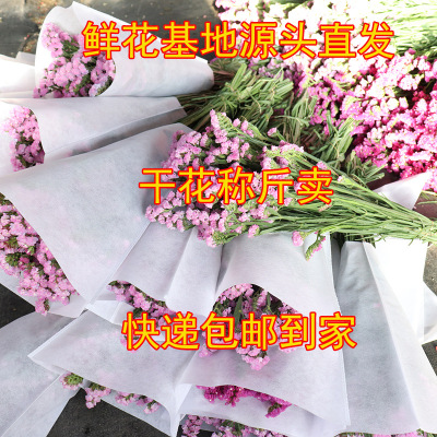 雲南鮮花幹花勿忘我水晶草情人草滿天星幹花稱斤批發擺地攤跑江湖