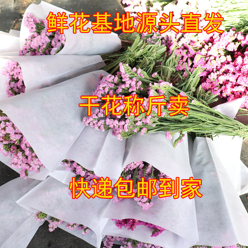 雲南鮮花幹花勿忘我水晶草情人草滿天星幹花稱斤批發擺地攤跑江湖