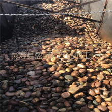 盛運供應 山東機制卵石  北京園林造景用鵝卵石  河北鵝卵石價格