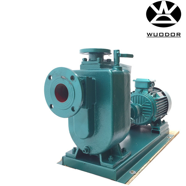 50ZW20-12泵 2.2KW 12米扬程卧式自吸式污水泵 不锈钢管道污水泵