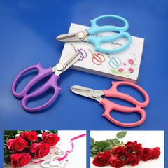 Floral Shears, Colorful Stainless Steel Garden Scissors, Flower Shop Fresh Flower Pruning Shears, Gardening Flower Arrangement Tool, Garden Shears