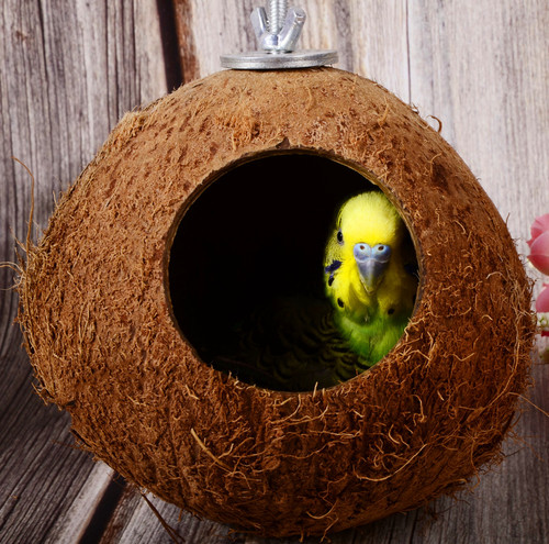 Parrot coconut shell nest Hamster squirrel breeding nest Parrot toy cooling nest Bird nest