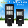 direct deal LED solar energy street lamp Integration human body Induction lamp New Rural outdoors waterproof Courtyard