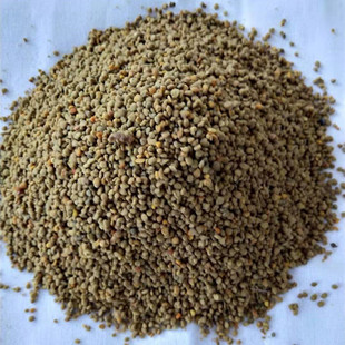 ɢ�b�仨���w�������w���s���۷�������l���� ÿ��5��