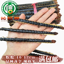 【满包邮】蜈蚣大条平均16~17cm/条干货散装产地直供沁信源中药材