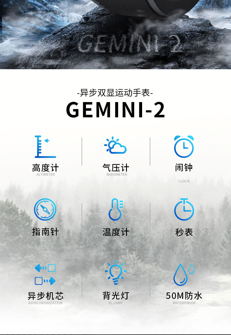 GEMINI详情页 (2)