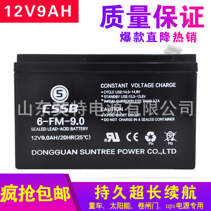 CSSB/沈松12V9AH  6-FM-9蓄电池儿童玩具电动轿车喷雾器照明音响