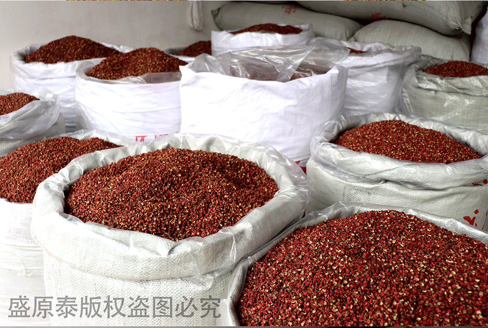 7984202734_1448840119