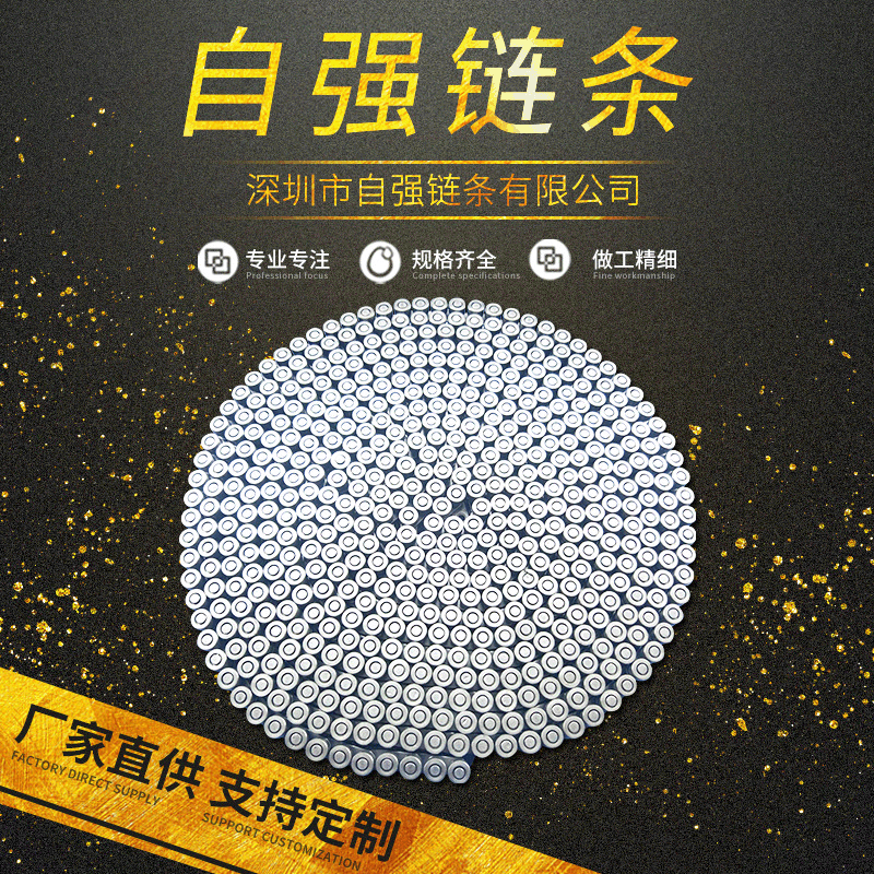 厂家直供 传动用短节距滚子链滚子带侧滚轮 不锈钢06B侧滚轮链条