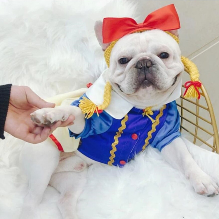 QQ图片20191016200112_副本