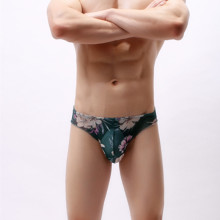 一件代发男士三角内裤网纱透明低腰性感印花无边情趣裤衩青年U凸
