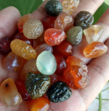 批发阿拉善戈壁石葡萄干玛瑙原石散籽 筋脉石散仔DIY珠宝配饰E18