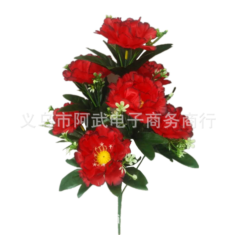 3001277cb2c3208cdb6d004469b53f