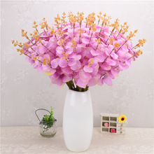 5��20�^�����ȼ������X�~�Gֲ���ܽzӡ�^�z��c���⹤���b���Ʒ