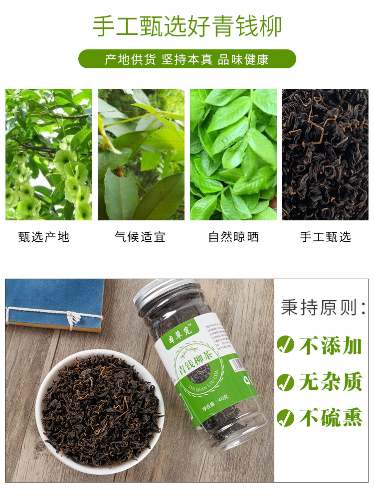 Qing Qian Liu Leaf Tea (Cyclocarya paliurus) — Dried Tender Leaf Herbal Tea, 40g Jar overview