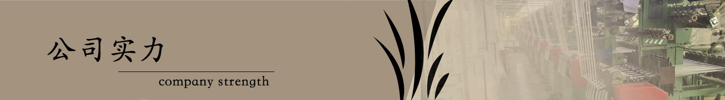公司实力分界 拷贝.jpg