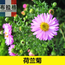 ջľշNӺmոҰշNļͥԺ̨ԿͺջN