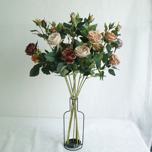 �S���N�� ���^С̖�W˹͡õ�� ���滨�ٻ���c�����������