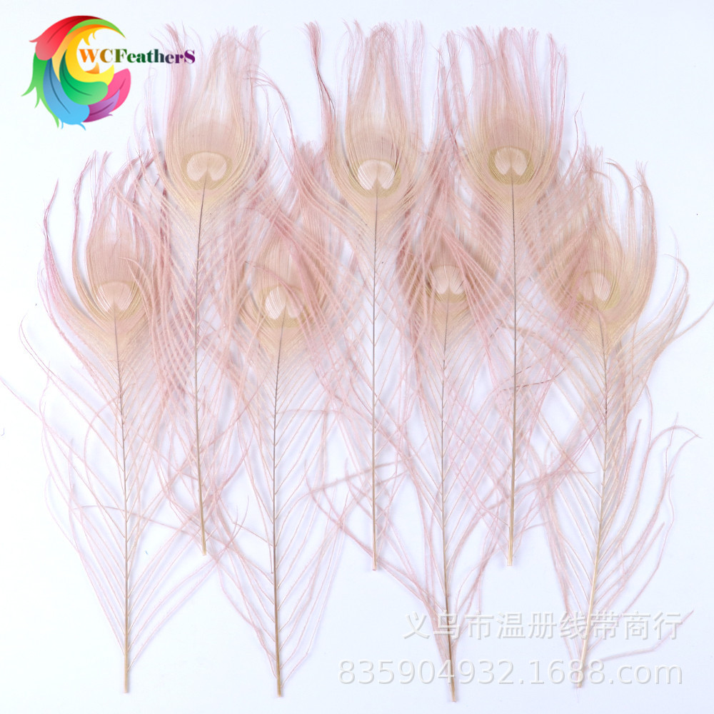 温册厂家直销天然孔雀羽毛DIY家居花瓶装饰婚庆道具新娘胸花材料详情图7