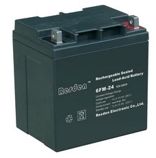 Resden/雷斯顿6FM-24雷斯顿12V24AH蓄电池 UPS蓄电池
