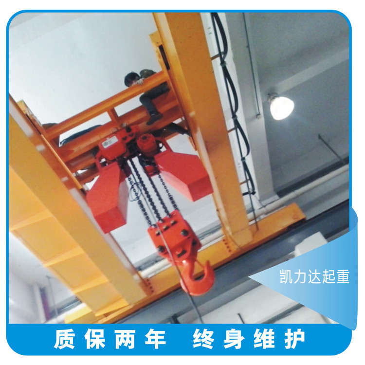 惠州厂家直销 桥式双梁起重机 双梁电动起重机 量大从优 欢迎订购