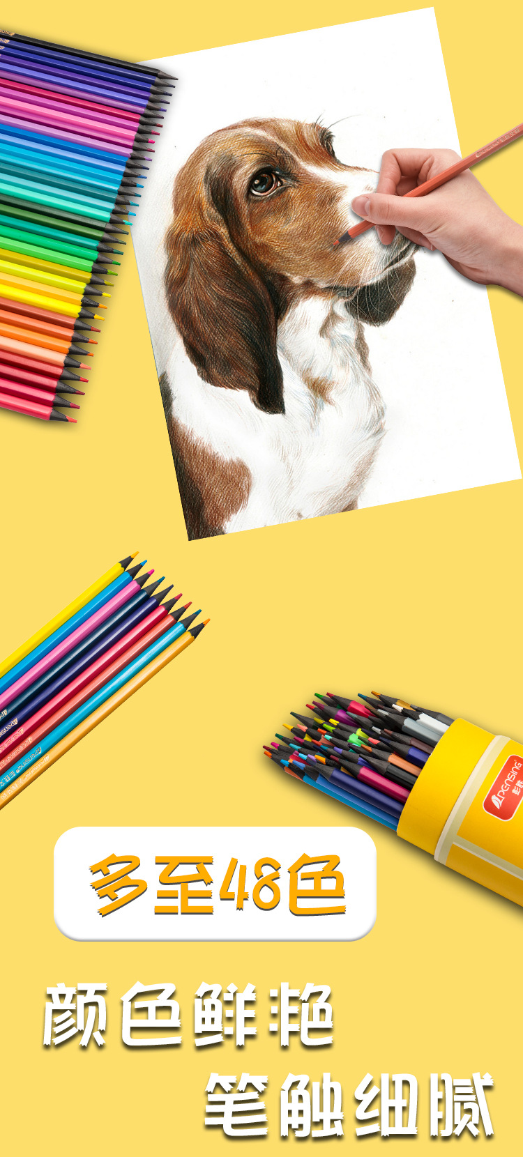 高级彩色铅笔_02.jpg