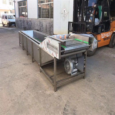 山野菜清洗机 山野菜加工清洗机 山野菜清洗加工设备|ru