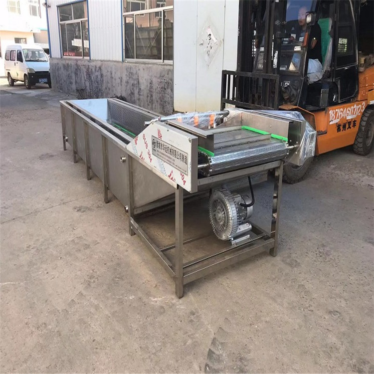 山野菜清洗机 山野菜加工清洗机 山野菜清洗加工设备|ru