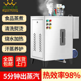家用大功率电蒸汽发生器小型蒸汽机锅炉商用自动奶茶店蒸汽开水机