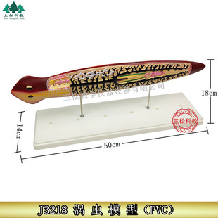 3218�u�x���ʷŴ�ģ�� ���΄������ ��������̌Wģ�� ����@