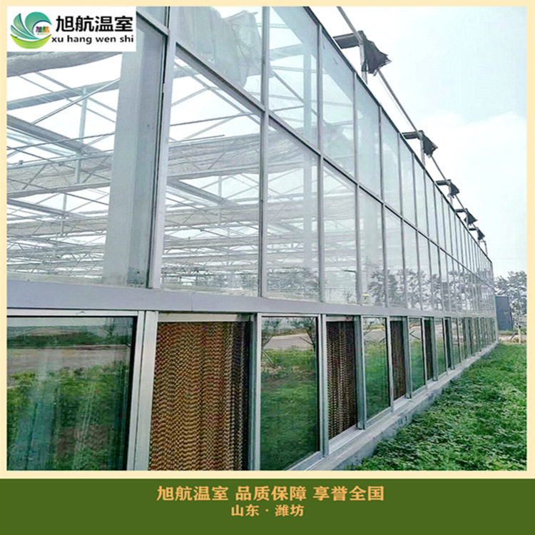 weixintupian_20190223162042_副本