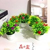 Factory direct selling plastic flower fake flower pots 6 small rose mini small bonsai 2 yuan store hot -selling goods