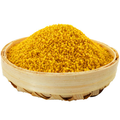 Shanxi specialty Ooze yellow millet fresh Manufactor wholesale The month edible Farm Yellow rice