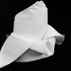 Hotel paper napkins, decorations, cloth, polyester