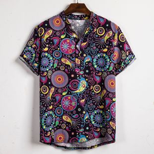 �羳���Q2019��ʿ�����r�´��r����ʿ����ɳ���r�����l