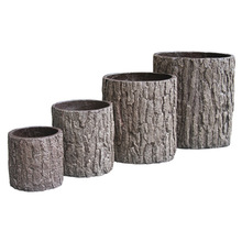 �Nֲ���y���W�����V���� ������w�䘶���⻨�� �ɽ����f������