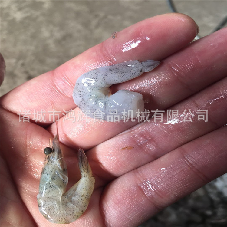 虾头去除机自动扒皮机黑虎虾剥壳机白对虾去壳机虾仁完整出肉率高