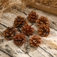 �ɹ����l �}�QDIY�b���[ �׃��@�ֹ����� �}�Q����ϰ�����