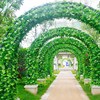 [Sale]simulation Large Grape leaves Large leaf Rattan Twine Vine decorate Green leaf Plastic leaf