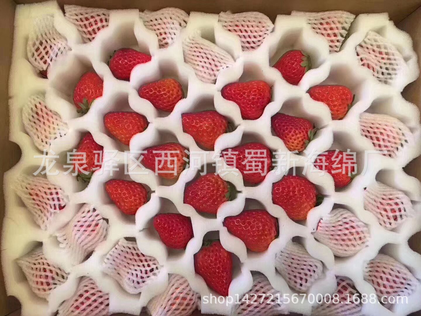 厂家直销白色草莓防震海绵/快递拉伸草莓海绵包装/32枚28枚包装