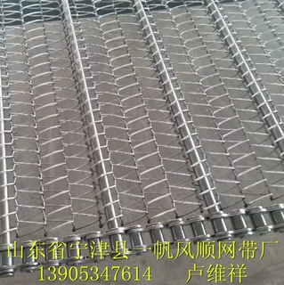 食品烘干输送网链 耐高温网带 不锈钢网带网链
