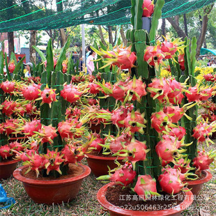 ��������ͥԺ���� ���Լt�İ��Ļ��������� ϲ�����������N��