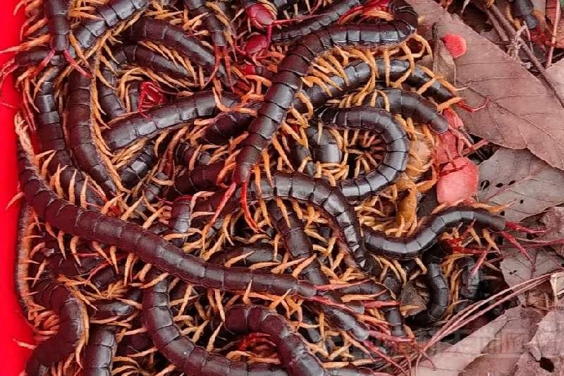 5864dd08b3994976a9a03384cf1dc1