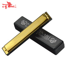 天鹅牌SW24-1824孔口琴成人考级乐器初学者口琴