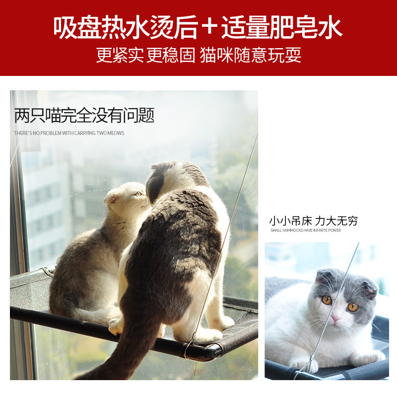 Cat hampered suction cup pouring pet bed can be disassembled cat…