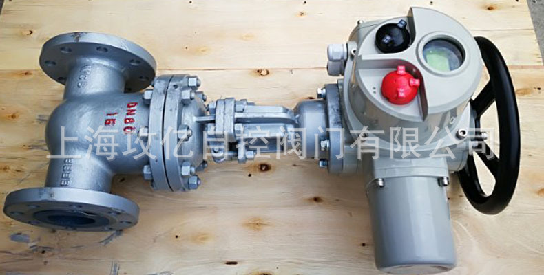 电动法兰闸阀16.JPG