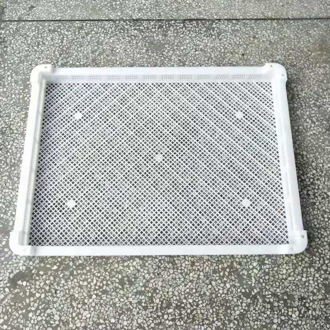 塑料单冻器 网格耐低温冷冻盘 烘干盘 晾晒盘 耐高温周转盘