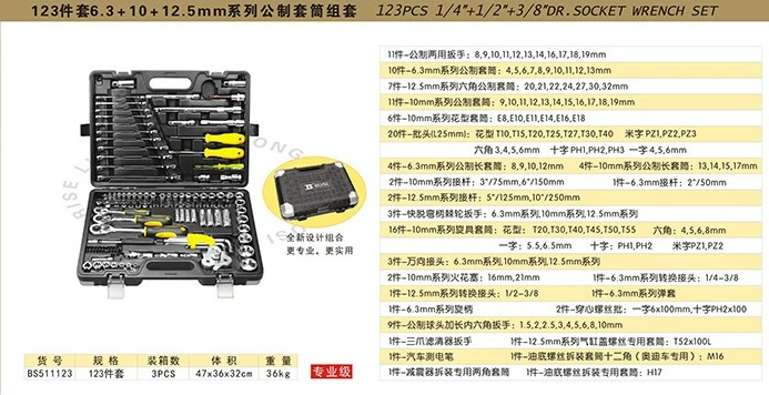 Набор Persian Tool 123 предмета, метрические торцевые головки 6.3/10/12.5 мм, серия, набор головок BS511123