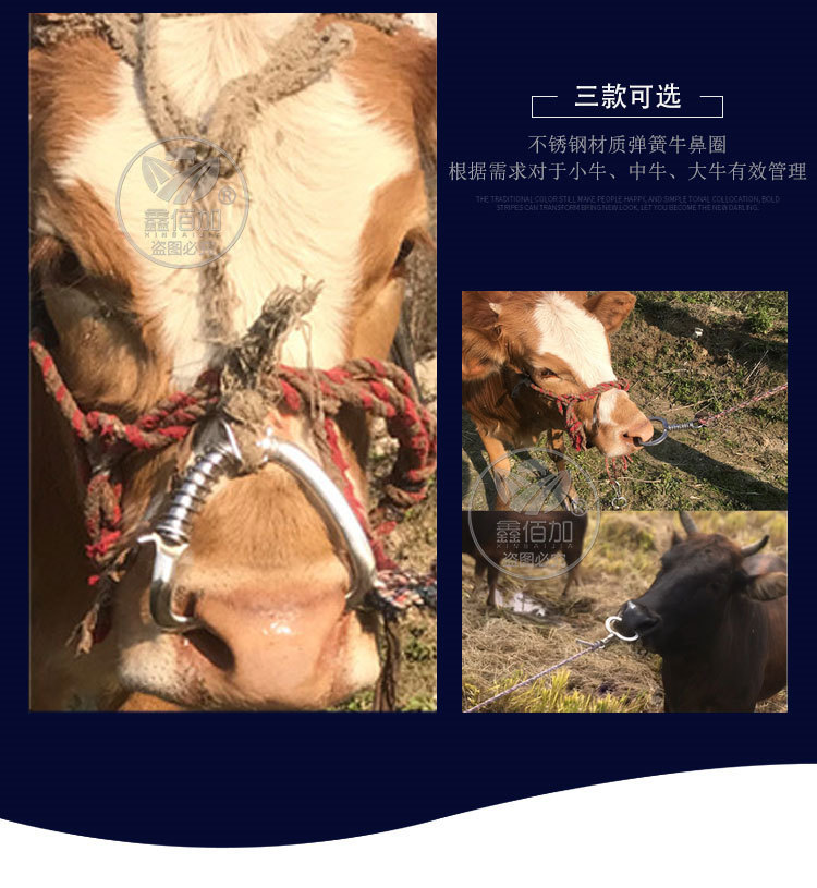 弹簧牛鼻环A详情页 (8).jpg