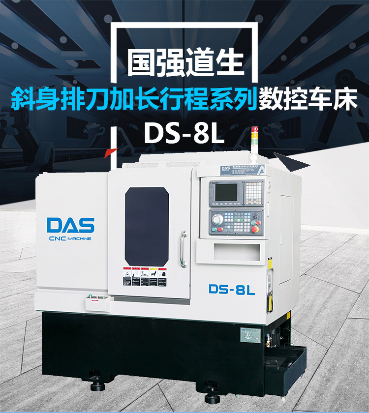 DS-8L_01